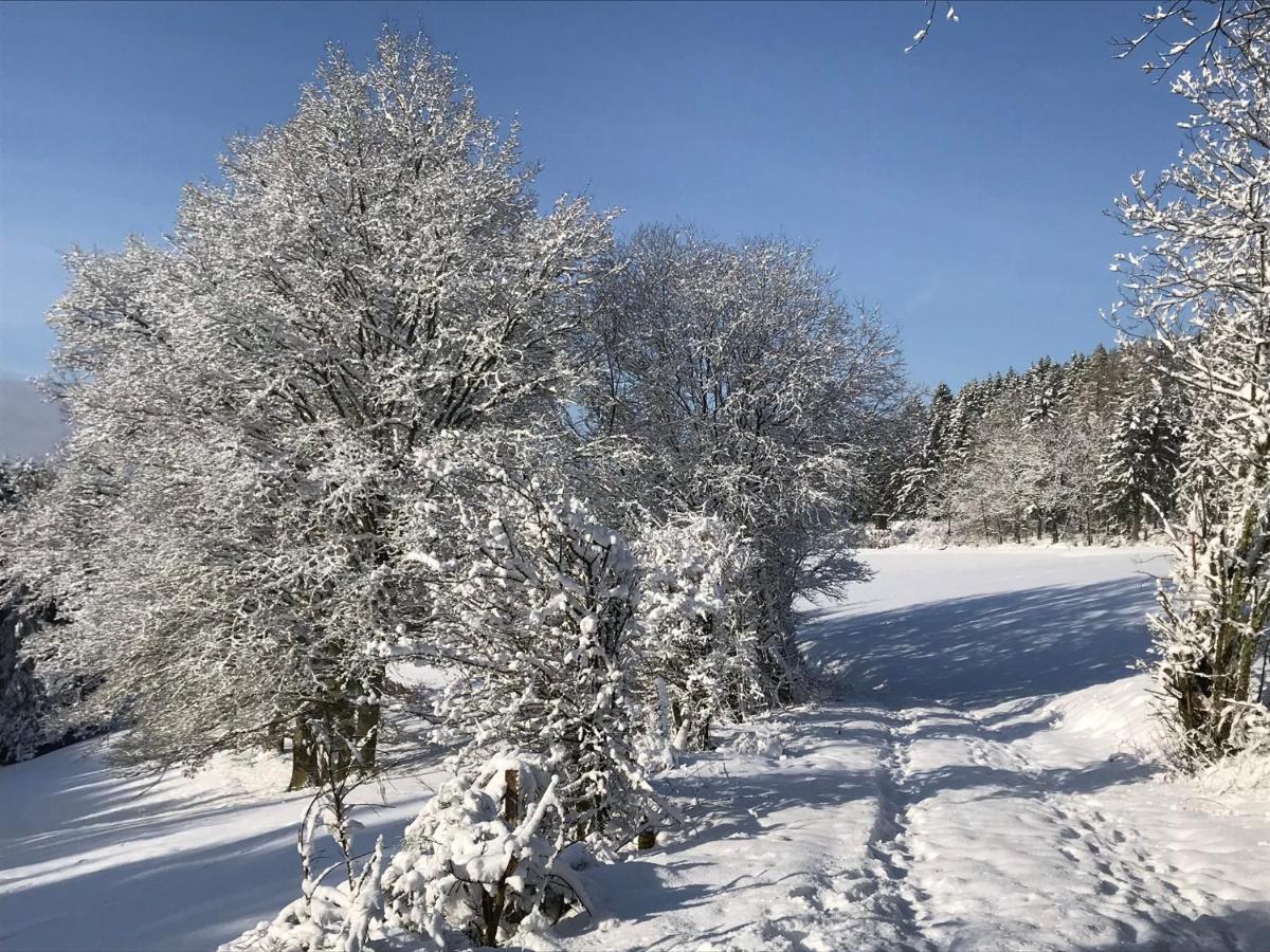 Villa Holgenbach - Penthouse- Und Ferienwohnung Im Nationalpark Eifel Schleiden Εξωτερικό φωτογραφία