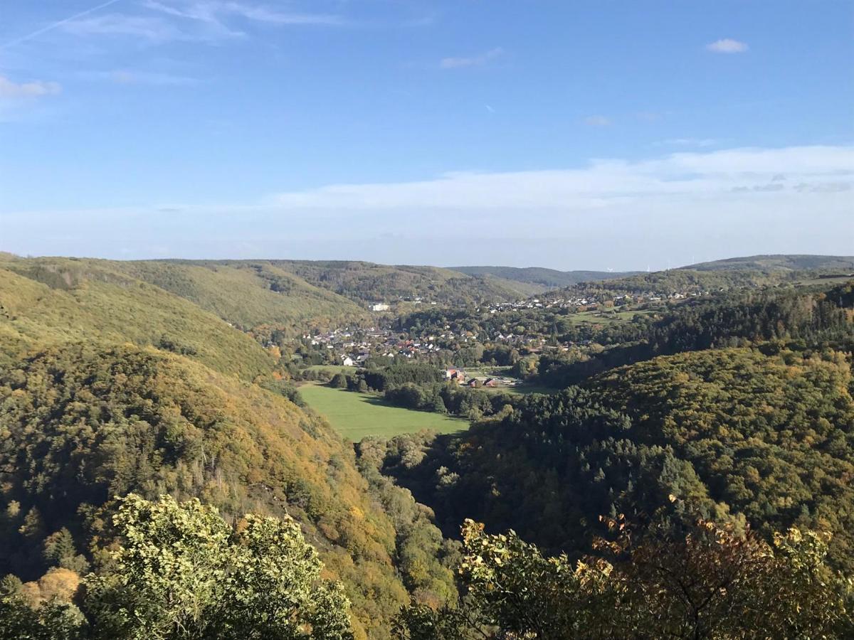 Villa Holgenbach - Penthouse- Und Ferienwohnung Im Nationalpark Eifel Schleiden Εξωτερικό φωτογραφία