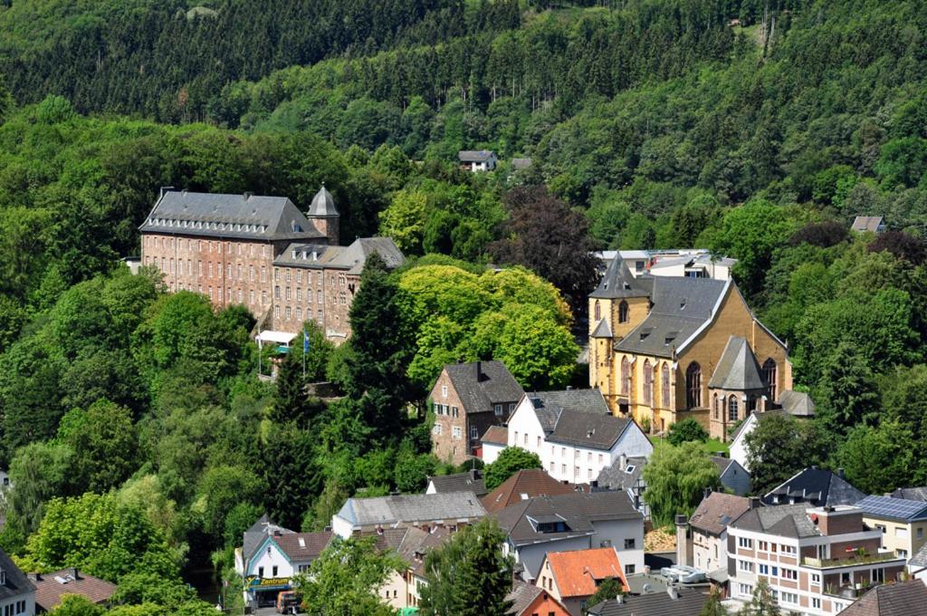 Villa Holgenbach - Penthouse- Und Ferienwohnung Im Nationalpark Eifel Schleiden Εξωτερικό φωτογραφία