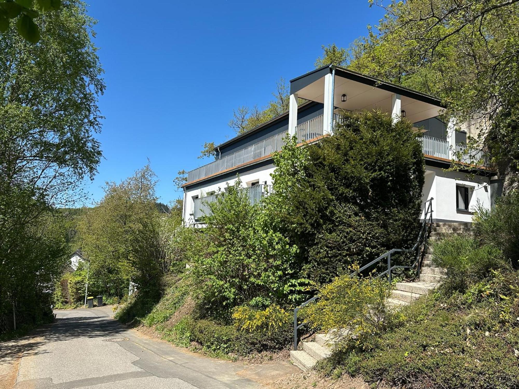 Villa Holgenbach - Penthouse- Und Ferienwohnung Im Nationalpark Eifel Schleiden Εξωτερικό φωτογραφία