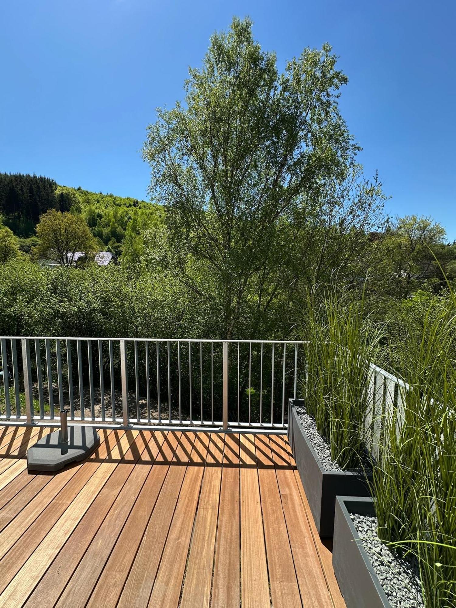 Villa Holgenbach - Penthouse- Und Ferienwohnung Im Nationalpark Eifel Schleiden Εξωτερικό φωτογραφία